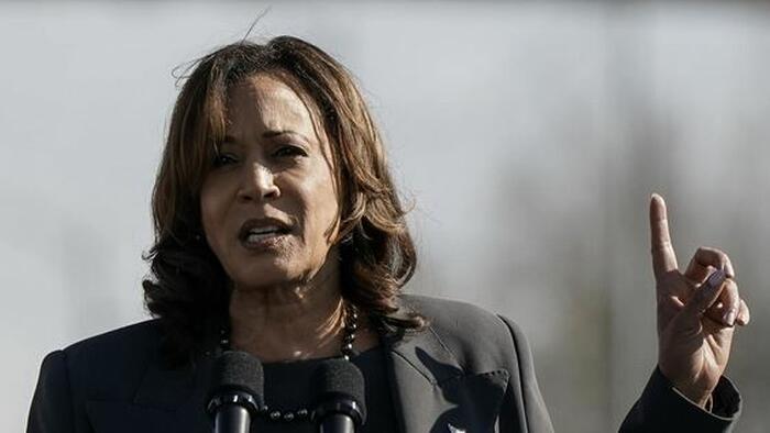 NextImg:The Collapse Of Kamala Harris