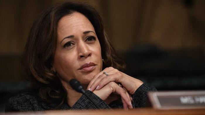 NextImg:Harris Campaign Slashes North Carolina Ads As Dems' Plunging Turnout Portends Loss