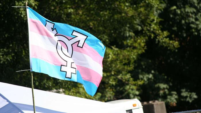 NextImg:UN Report: Women Have Lost 900 Medals To 'Transgender' Athletes