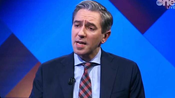 NextImg:Irish Leader Suggests 'Illegal Migrants' Don't Even Exist