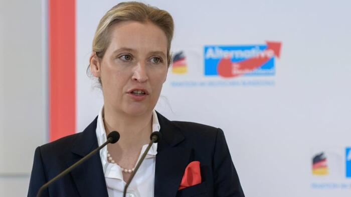 NextImg:Support For Germany's AfD Continues To Soar Amid Calls For Election Ban By Political Opponents