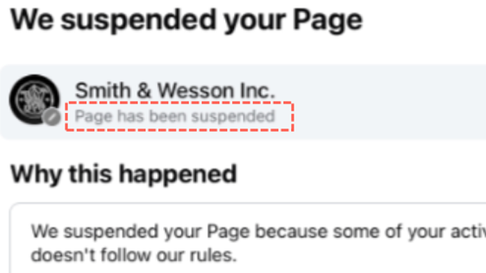NextImg:Smith & Wesson Deplatformed From Facebook As Musk Welcomes Gun Industry To X