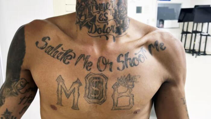 NextImg:Violent Venezuelan Gang Tren De Aragua Resurfaces In Tennessee