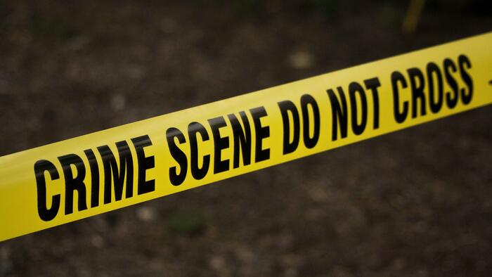 NextImg:Lott: Illegal Migrants Less Likely To Commit Crime? Guess Again...