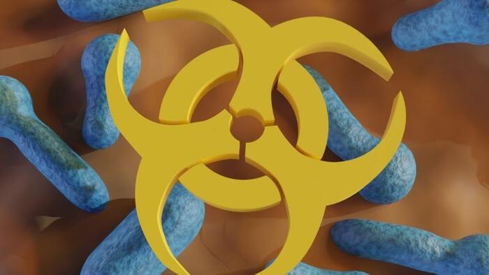 NextImg:Did Government-Sponsored Disinformation Worsen COVID-19?