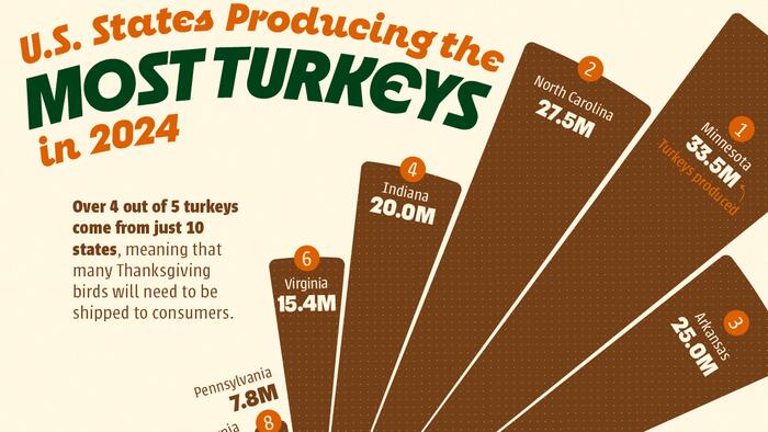 NextImg:These Are The US States Producing The Most Turkeys In 2024