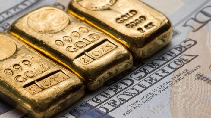 NextImg:Gold-Backed Or Bust: Judy Shelton's Plan To Tame The Fed And Restore The Dollar