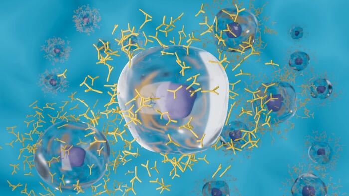 NextImg:Study Reveals Why COVID-19 Vaccine Antibodies Wane Rapidly