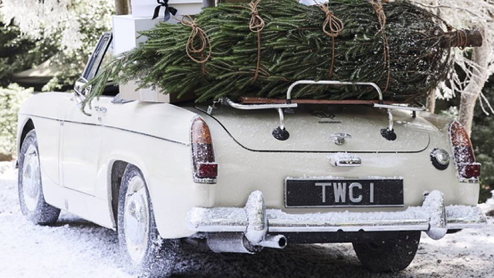 NextImg:Here's The Best Time To Buy A Christmas Tree