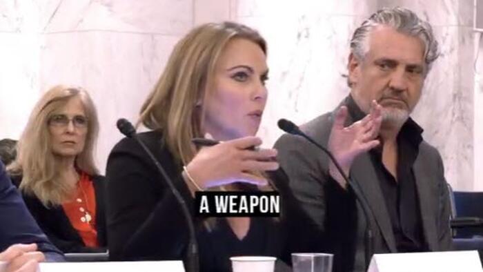 NextImg:"This Is A Bloodsport For Them" - Lara Logan Exposes "The Age Of Information Warfare"