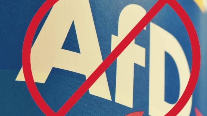 NextImg:German 'Deep State' Effort To Ban AfD Faces Major Setback