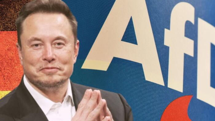 NextImg:"Shameful, Dangerous, & Anti-Democratic"? - German Establishment Fumes Over Musk's "Election Interference"