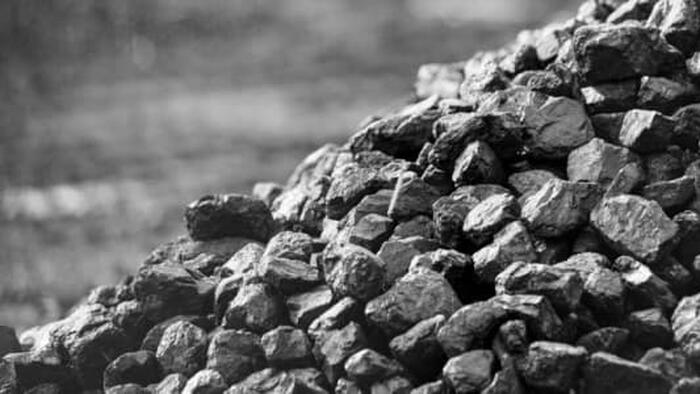 NextImg:World Coal Demand And Exports Set For New Record High In 2024