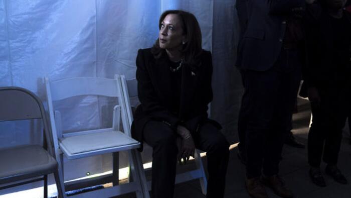 NextImg:DNC Official Reveals Obama, Pelosi "Did Not Want" Kamala Harris