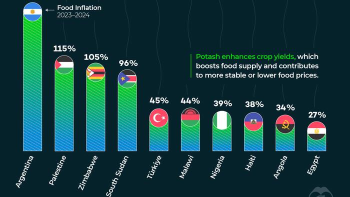 NextImg:These Are The Countries With The Highest Food Inflation In 2024