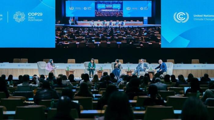 NextImg:The Failure Of COP29: Does The "Green Agenda" Have A Future?