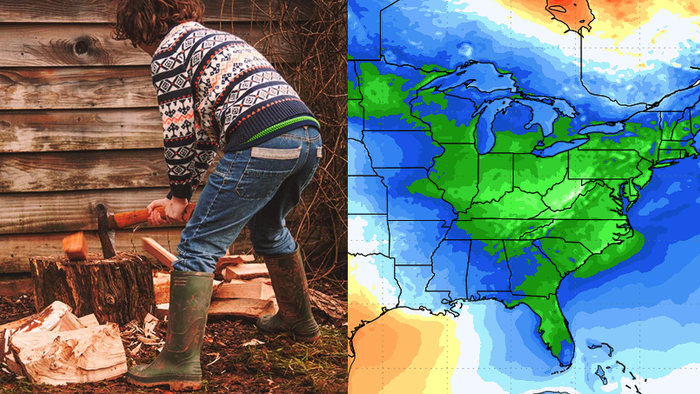 NextImg:Searches For 'Cords Of Wood' Hit Record As Cold Blast Chills Lower 48