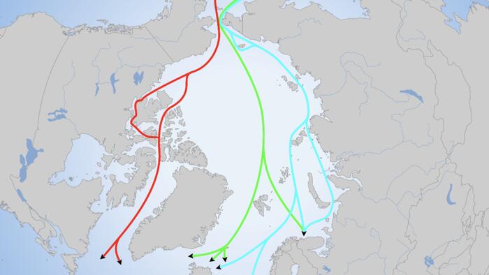 NextImg:The US Is Left Out In The Cold As China And Russia Develop Arctic
