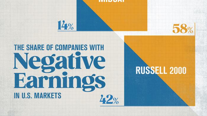 NextImg:Zombified: 42% Of US Small Caps Still Have 'Negative Earnings'