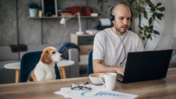NextImg: Trump To End 'Work From Home' For Federal Employees As Corporate America Takes Action