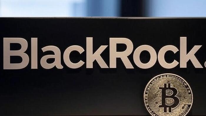 NextImg:BlackRock's New Bitcoin Ad Is A Monumental Paradigm Shift