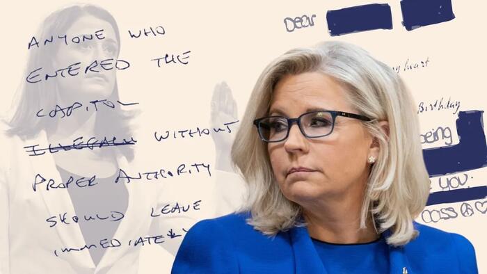 NextImg:Cheney's Pending Immunity Whiplash