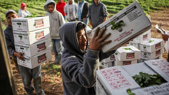 NextImg:DHS Announces New Rule To Allow Noncitizen Workers To Keep Jobs Longer While Awaiting Renewals