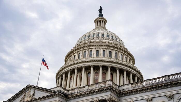 NextImg:Democrat Staffer Carrying Ammunition Arrested At US Capitol