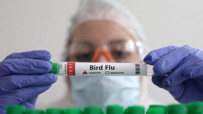 NextImg:Bird Flu Virus Mutations Discovered In First Severe Human Case In US, CDC Says