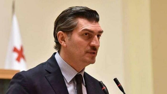 NextImg:Georgia's New President, An Ex-Soccer Player, Solidifies Anti-EU Leadership