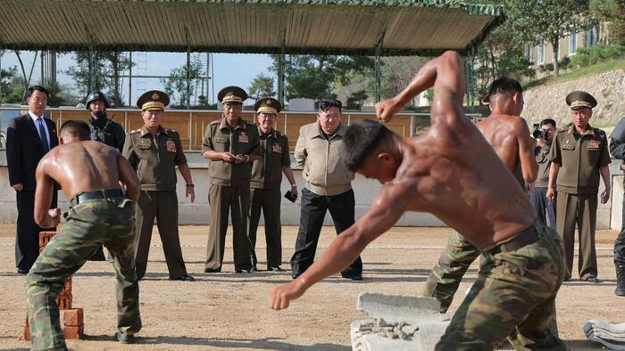 NextImg:North Korean Soldiers Suffer 1,100 Casualties In Ukraine War, Seoul Alleges