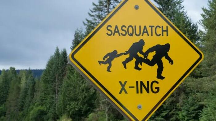 NextImg:Two Men Freeze To Death Looking For Sasquatch In The Oregon Wilderness On Christmas Eve