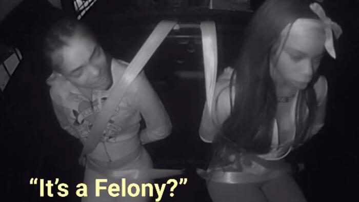 NextImg:"B*tch, New Laws!": California's Tougher Shoplifting Law Receives Curious Endorsement