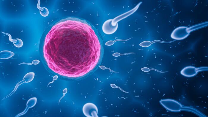 NextImg:Sperm Count Has Declined Almost 50% In Men Across The Globe In Recent Decades