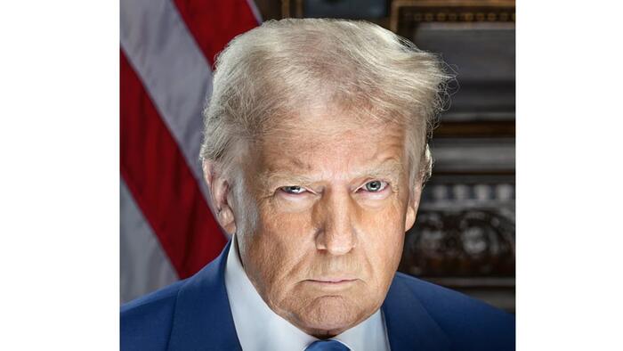 NextImg:Veteran Democrat Strategist Admits 'Resistance' Has No Response To Trump, Begs Biden To Disappear