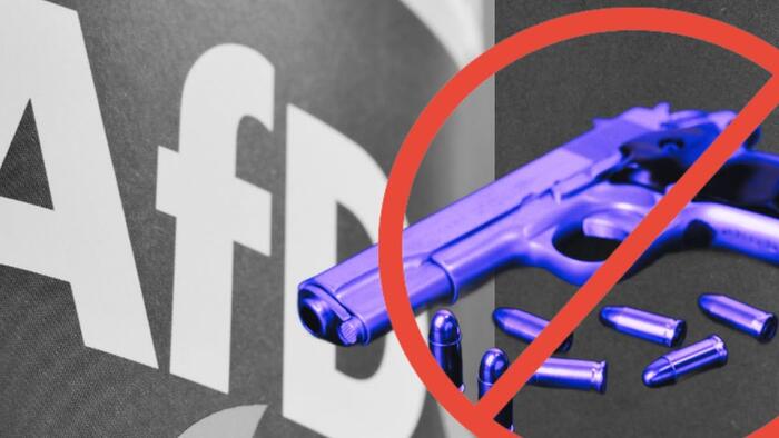 NextImg:Germany's Gun-Grab? Saxony-Anhalt Begins Disarming AfD Members