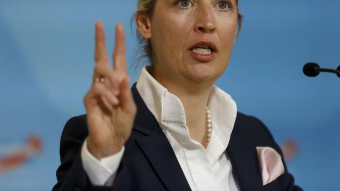 NextImg:"The Firewall Will Not Last!" — Weidel Defiant As AfD Hits Highest Polling In A Year Ahead Of Germany's Election