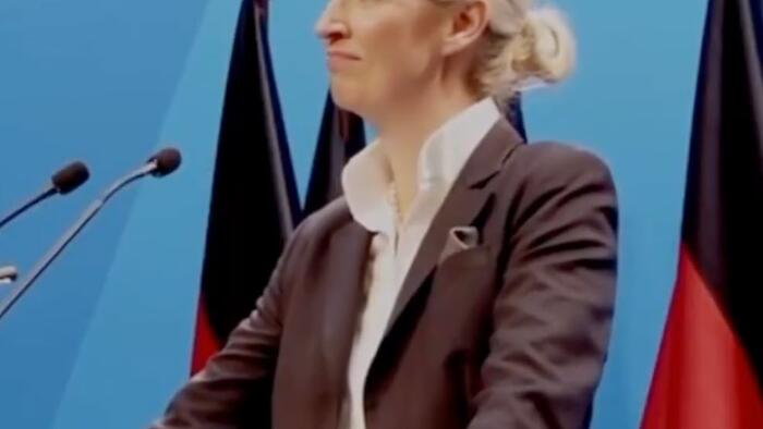 NextImg:"Close The Borders Completely" – AfD's Weidel Calls For 'Remigration' At Party Conference