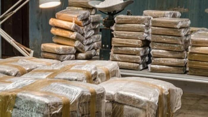 NextImg:Cocaine Outpaces Oil As Colombia's Most Valuable Export