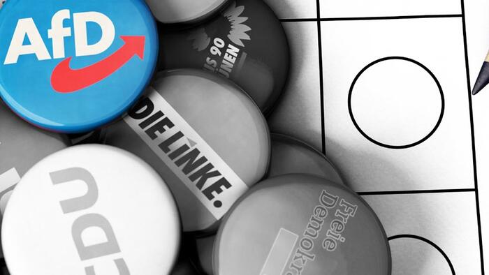 NextImg:Germany's AfD Soars To 23% (Greens & SPD Crater) In Aftermath of Aschaffenburg Attack