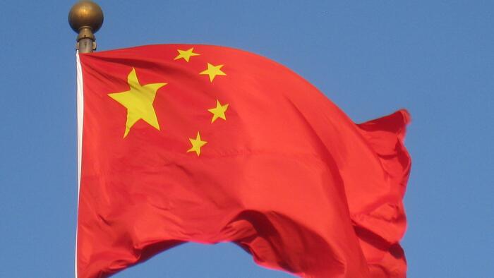NextImg:Green Deception: Environmental Activists Serve China's Energy Agenda