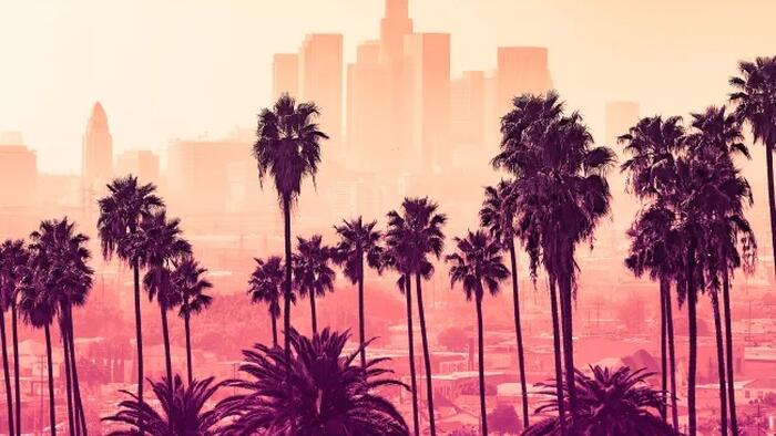 NextImg:The LA Fires: The 'Social Contract' Is Nonsense, And No One Is Coming to Save You