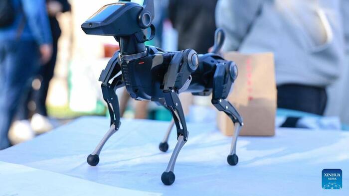 NextImg:Goldman's CES 2025 Takeaway: Chinese Firms Unveil New AI PCs, Mixed Reality Headsets, EV Tech & Panels