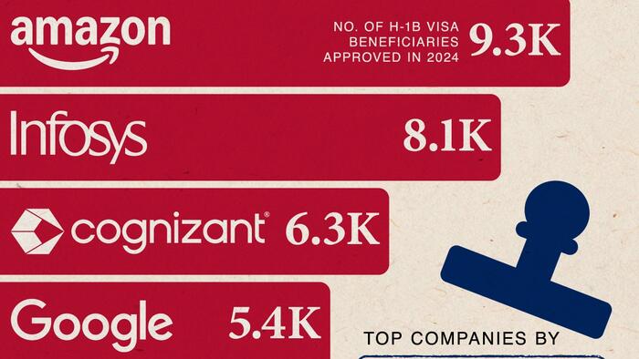 NextImg:These Are The Top Companies Using H-1B Visas In 2024