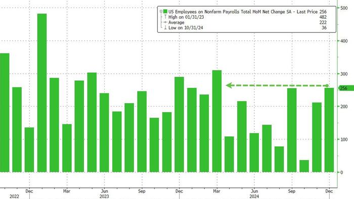 US Labor Market Adds 256,000 Jobs in December