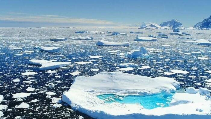 NextImg:Moore: Liberals Guffawing Over Trump's Greenland Vision Might Want To Crack Open A History Book