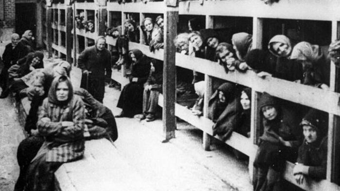 NextImg:How Widespread Is Holocaust Denialism?