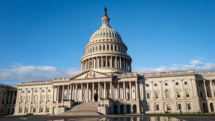 NextImg:Meet The New Senators Entering Congress
