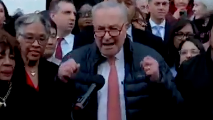 NextImg:"Completely Unhinged": Screaming Democrats Call Musk A "Nazi", Bash DOGE, Amid Meltdowns Outside Treasury Building