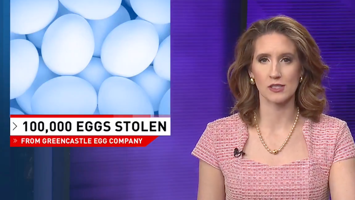 NextImg:100,000 Eggs Stolen As Pennsylvania Police Try To Crack Case